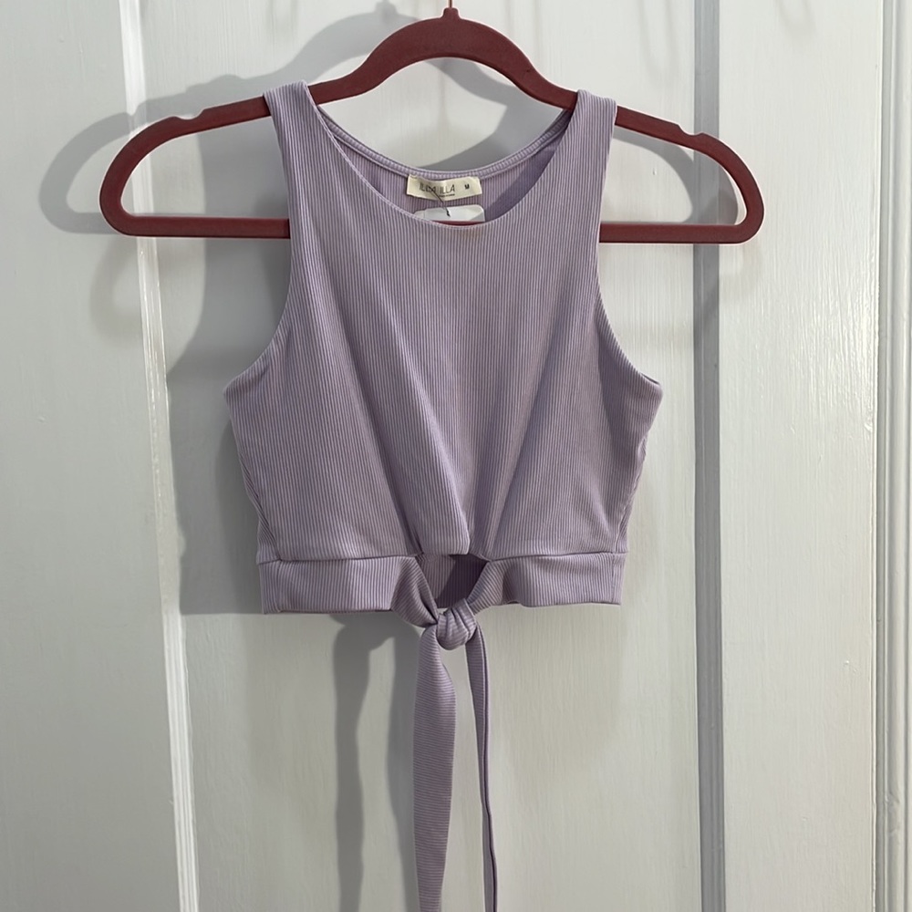 Purple Ribber Crop Top